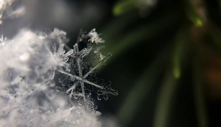 Hladna jutra se vračajo, ponekod krepko pod ničlo