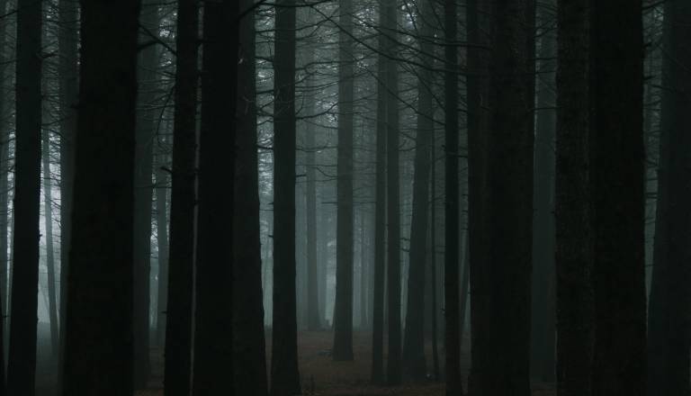 Je to najbolj strašljiv kotiček Slovenije? Govorice o izginulih pohodnikih in NLP-jih