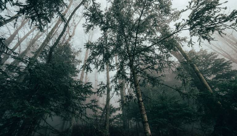 Kraj v Sloveniji, ki buri domišljijo: Izginuli pohodniki in skrivnostna opažanja na nebu?