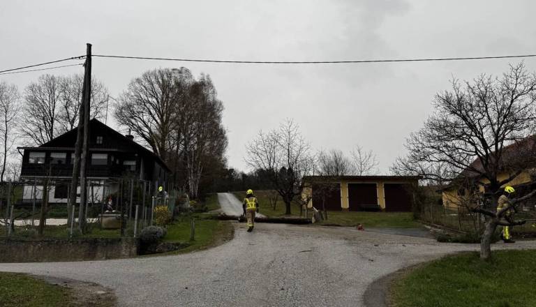 Veter razdejal Štajersko, na območju Maribora včeraj več kot 30 intervencij