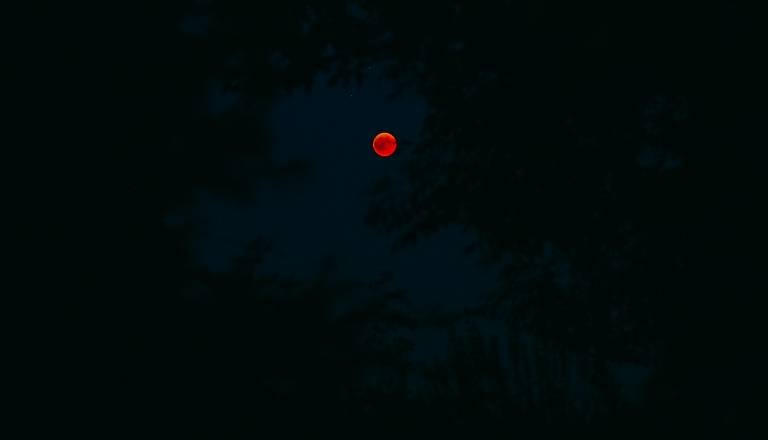 Krvava luna v Devici bo razkrila, kdo bo padel in kdo zmagal