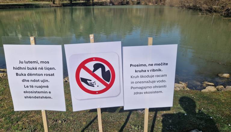 Opozorilo v albanščini ob ribniku Resa razburja Krško, Občina se od postavitve ograjuje