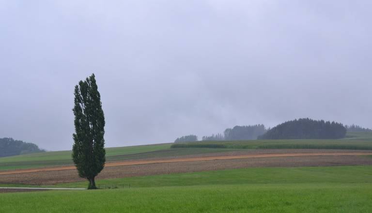 Nestanovitno vreme se nadaljuje: Temperature pod lediščem in okrepljen veter