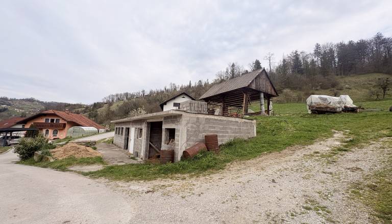 FOTO: Razkrivamo podrobnosti grozljivega umora, nad lastno mamo se je spravil s sekiro