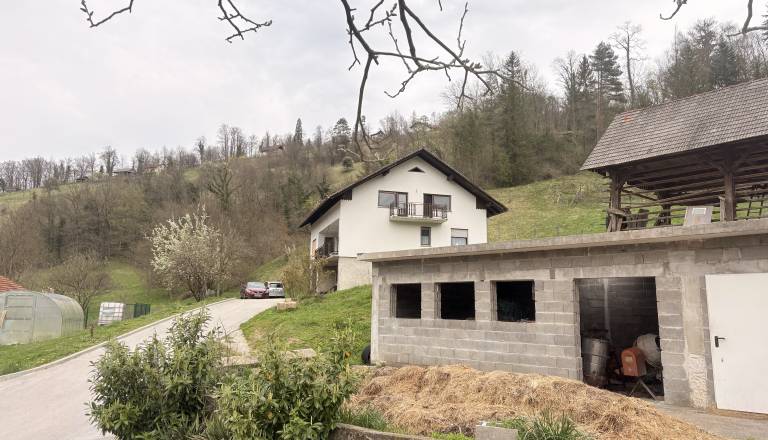 FOTO in VIDEO: Grozljive podrobnosti umora na Štajerskem. Na mamo se je spravil s sekiro