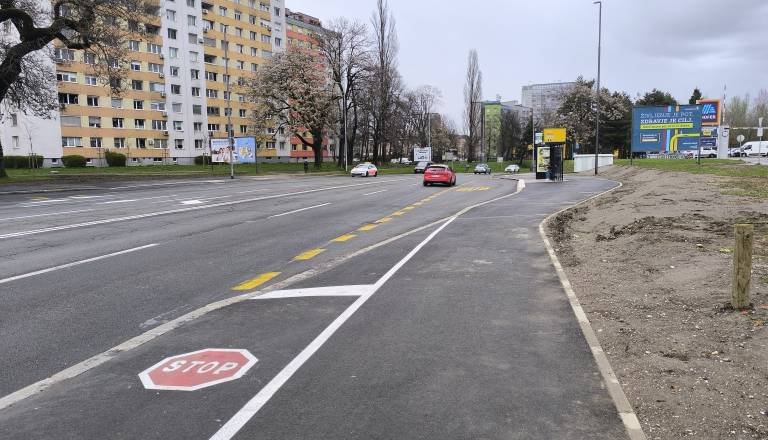 Arsenovič o nenavadni ureditvi na Titovi cesti: »To je čisto v nasprotju z vsem, za kar se trudimo«