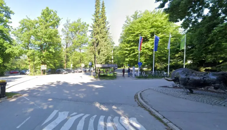 Parkirišča pri živalskem vrtu brez košev, občina obljublja rešitev