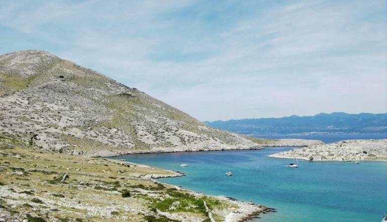 Barke zgorele, ogenj ogroža okolico