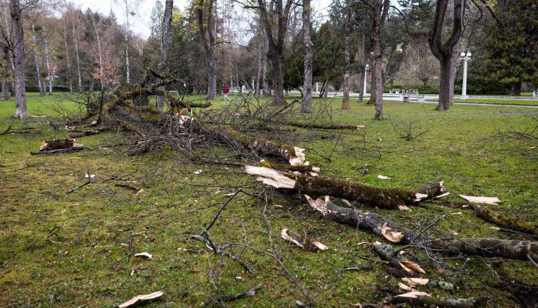 Vremensko opozorilo: Popoldne in zvečer znova okrepljen severni veter