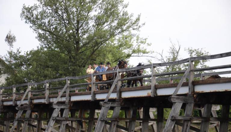 Občina zahteva ukrepanje glede mostu čez Krko. Podaljšane intervencije, upad obiska in kilometrski obvozi