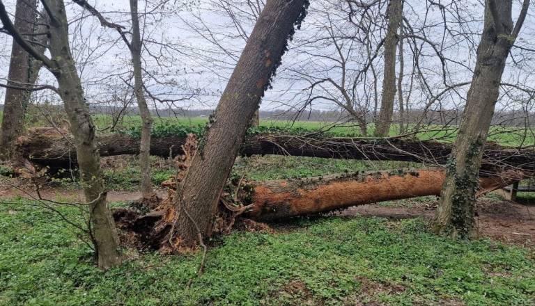 Novo vremensko opozorilo, znova bo pihal okrepljen veter