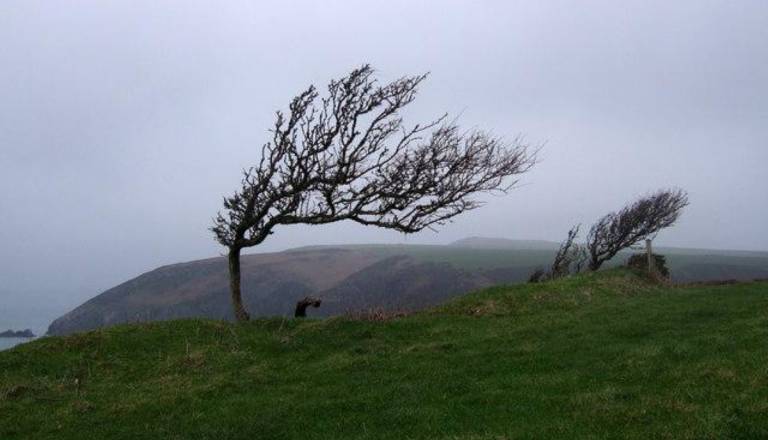 Pozor! Popoldne in zvečer znova okrepljen severni veter