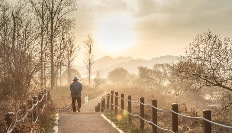 S sprehajalne poti ukradli tri klopi, tolikšna je škoda