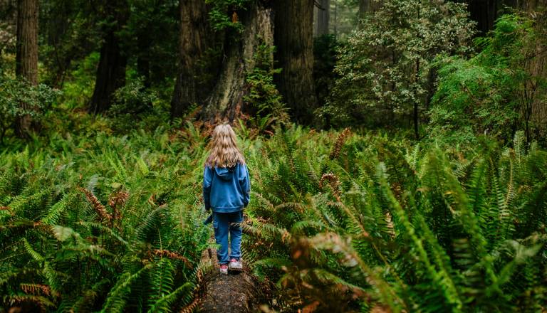 Po Sloveniji nastaja deset gozdnih učilnic, ena bo tudi v Mariboru