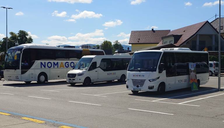 V Novem mestu 'samo' IJPP ali Sitium? Zdaj je jasno