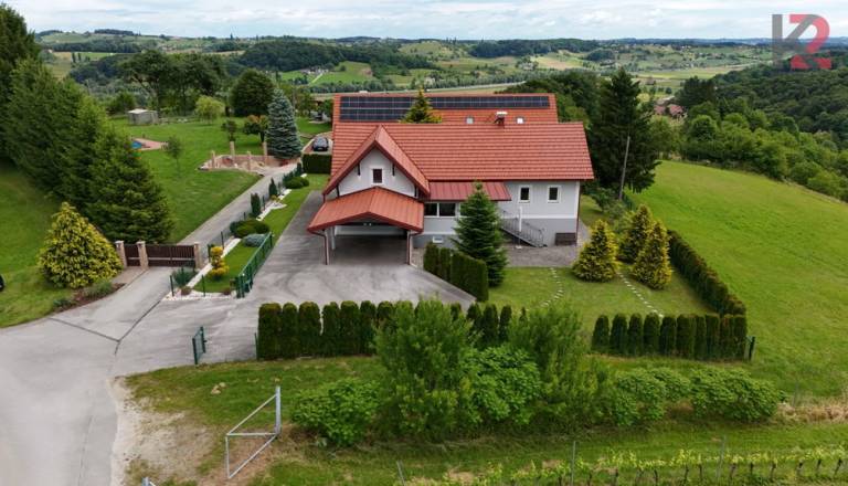 Le nekaj minut od Maribora naprodaj vila z vinsko kletjo in velikim posestvom