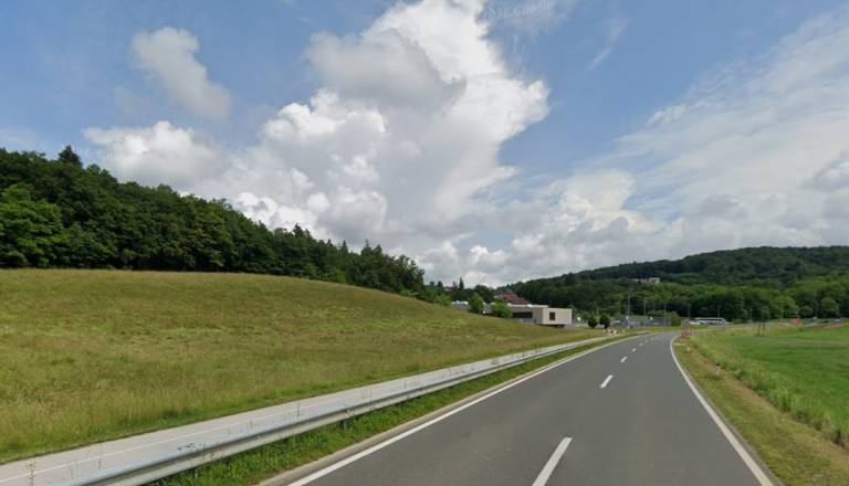 Češenska hosta: Bo stanovanjska cona zdaj zares uspela?