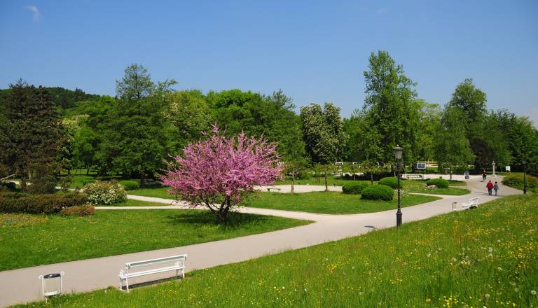 V Tivoliju premalo smetnjakov? Občina krivi neodgovorne posameznike