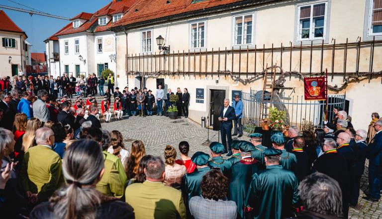 FOTO in VIDEO: Na Lentu obrezali najstarejšo trto na svetu, cepič letos tudi na Madagaskar
