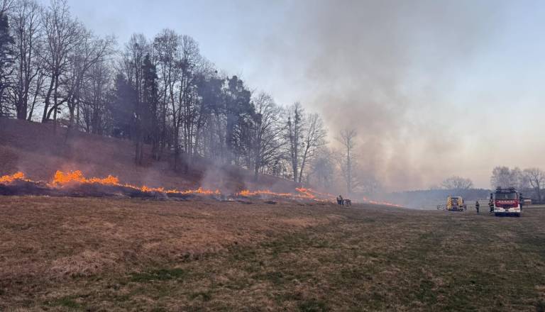 FOTO: Ogenj ušel izpod nadzora, gorelo 400 kvadratov gozdnih površin