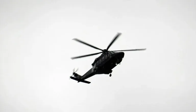 Na moškega padlo drevo, s helikopterjem prepeljan v bolnišnico
