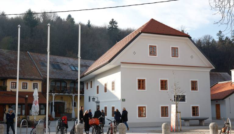 Podražitev projekta Vodnikove domačije, vrednost narasla na več kot 226 tisoč evrov