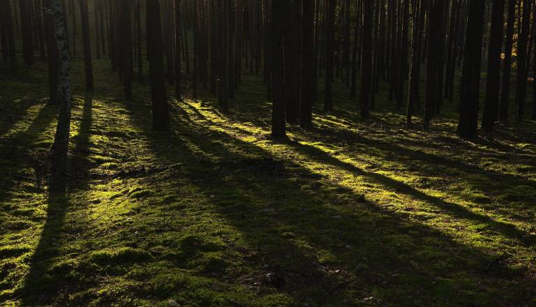 Na Hrvaškem pogrešanih več deset ljudi, reševalci v obsežni akciji