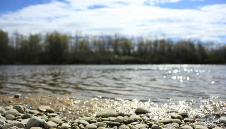  Kljub oživljanju življenje ugasnilo, oseba padla v Dravo in umrla