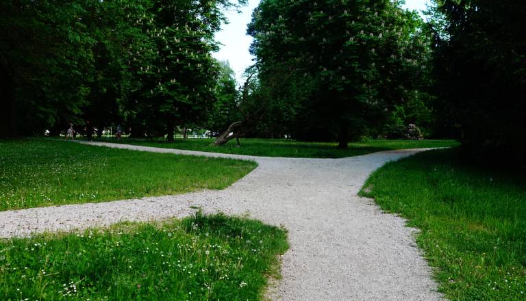 Vetrolom prizadel tudi ormoški grajski park, občina pojasnjuje