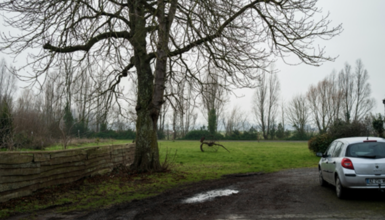 Sredi dopoldneva zletela s ceste in trčila v drevo, alkotest pokazal razlog