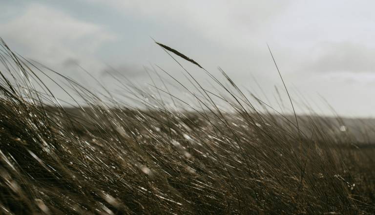 Še dva vetrovna dneva, nato vremenski preobrat 