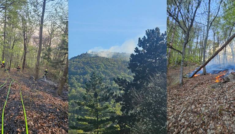 Požar na Pohorju: Gasilci peš v boj z ognjem zaradi težkega terena