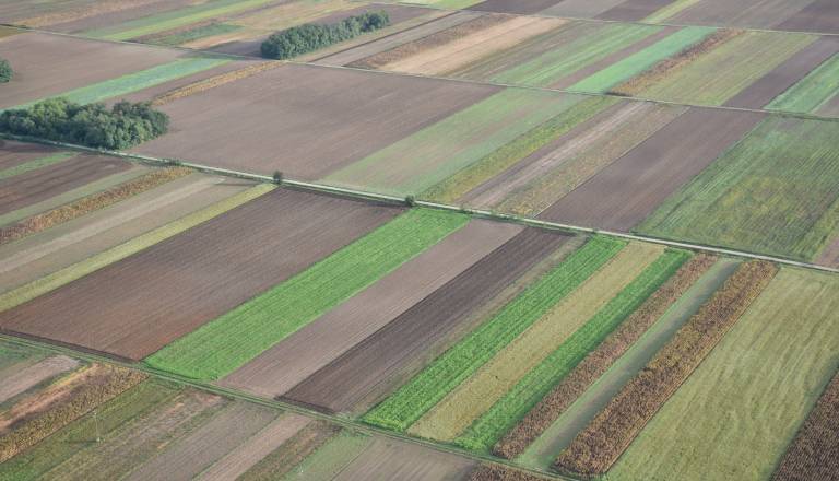 Sušne razmere v večjem delu države, na udaru tudi Pomurje
