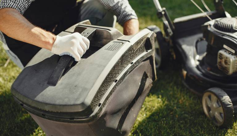 Kaj storiti s pokošeno travo? Uporabne ideje za vrt in kompost