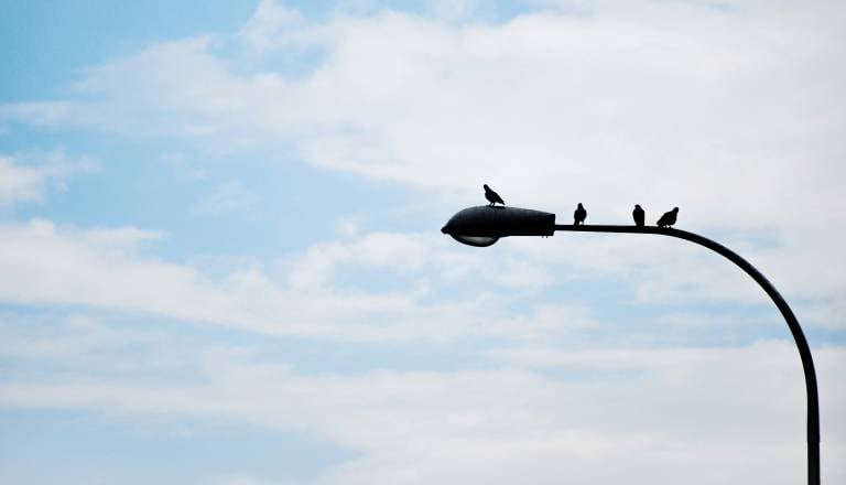 Belokranjsko naselje bo prejelo več kot tisoč metrov nove cestne razsvetljave