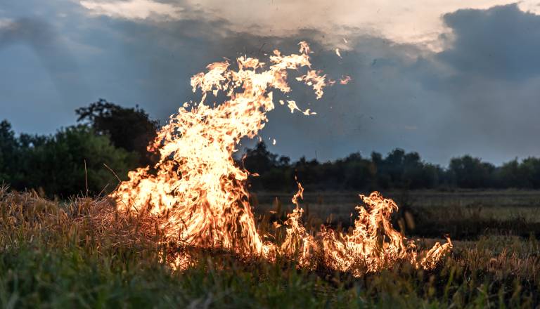 Po hišni preiskavi prijeli serijskega požigalca, povzročil za okoli 160 tisoč evrov škode