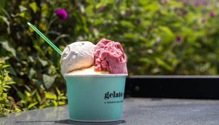 GLASUJTE: Kje na Dolenjskem je naj sladoled?