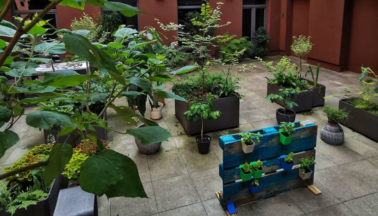 Zeleni teden v Knjižnici Polje: Divja hrana, 3D tisk in izmenjevalnica rastlin