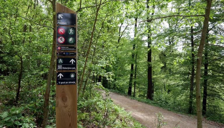 Šok na sprehodu po Golovcu: »V nekaj sto metrih deset in več iztrebkov«