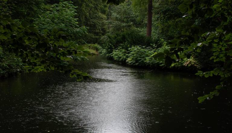 Več kot mesec dni pogrešanega našli mrtvega v reki