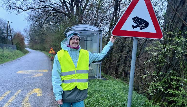 Prostovoljka Živa v Orešju zaznala manj dvoživk: »Nekaterih vrst letos sploh nismo videli«