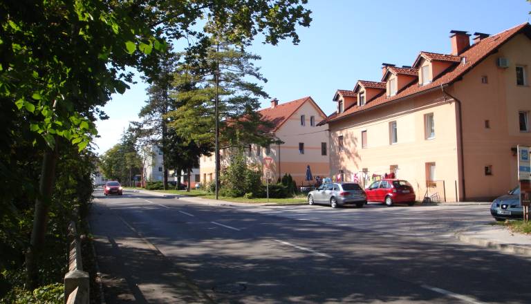 Prijeli osebo po 'pokih' v Ljubljani: Kaj se skriva za skrivnostnim incidentom v Vevčah?