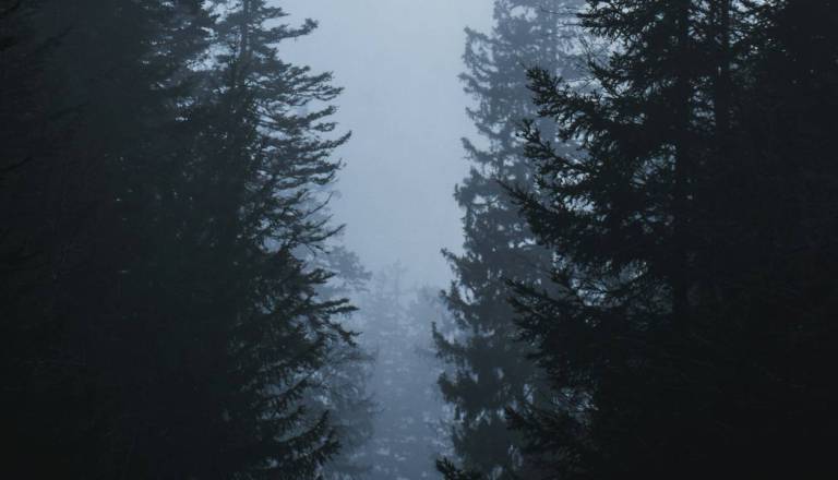 Sojenje za uboj na Štajerskem: Priča naj bi priznala dejanje, obtožena to zanika