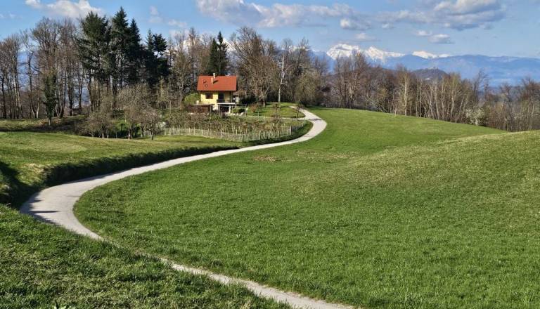 Toško čelo brez klopi: Priljubljena izletniška točka nad Ljubljano čaka na rešitev
