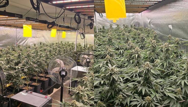 FOTO: Velika policijska 'žetev' na območju Viča, to vse so zasegli