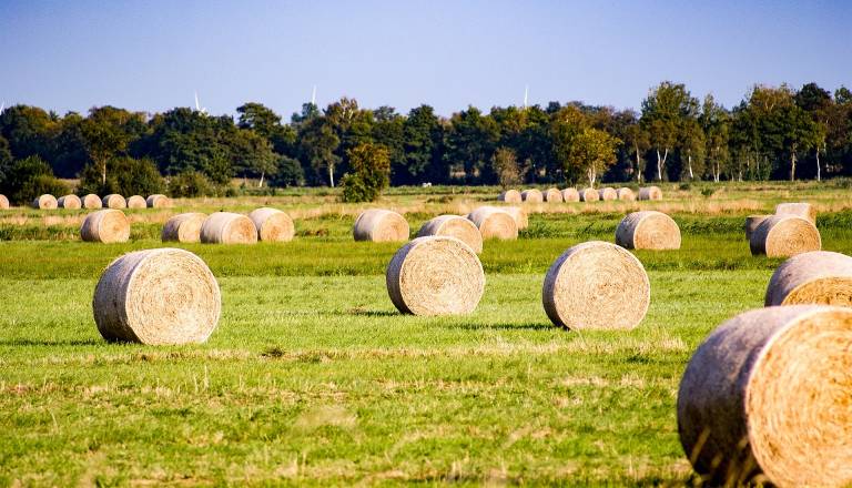 Kuril bale sena, nato pa katastrofa: 66-letnik huje poškodovan, škode za več deset tisoč evrov