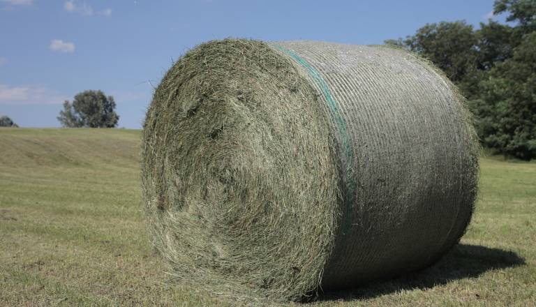 Kuril bale sena, nato pa katastrofa: 66-letnik zaradi opeklin končal v bolnišnici