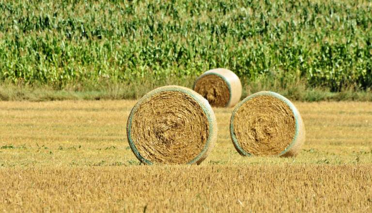 Ogenj ušel izpod nadzora: Zgorelo 250 bal sena in kmetijska mehanizacija