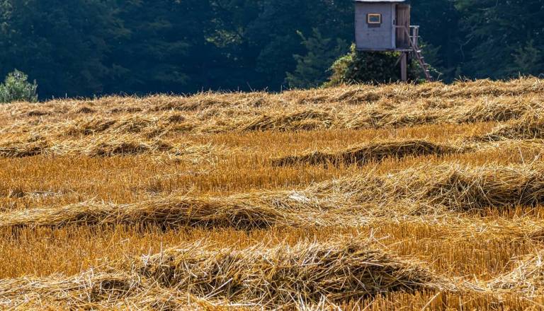 Kuril bale sena, nato pa katastrofa: Ogenj ušel izpod nadzora, škode za več deset tisoč evrov