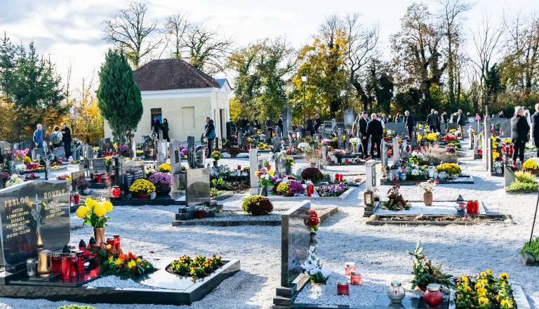 Na starem rogozniškem pokopališču brez ustreznih sanitarij, kaj pravi ptujska občina?